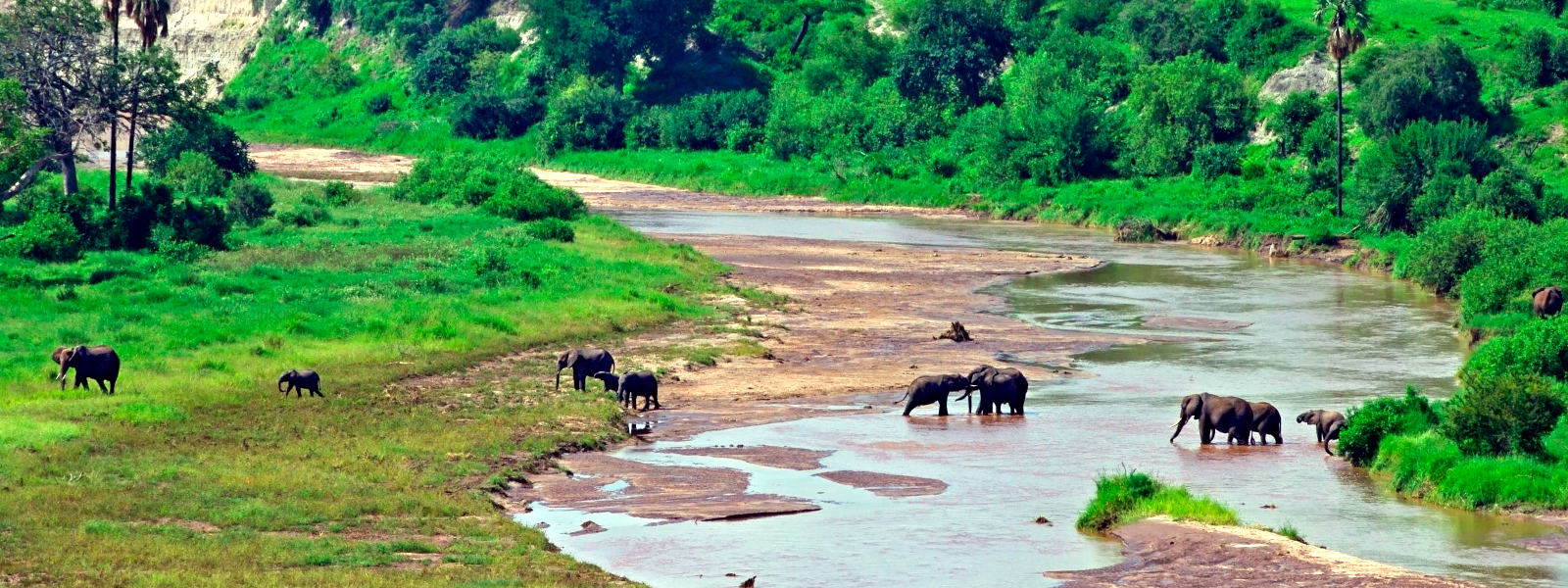 Tarangire National Park