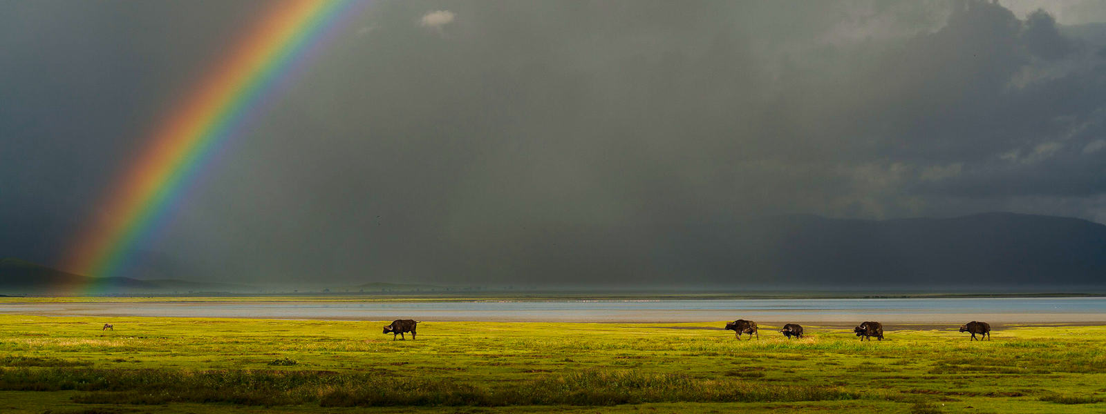 Ngorongoro Crater